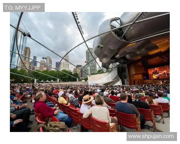 斯通斯乐队的传奇之旅与音乐影响力探讨